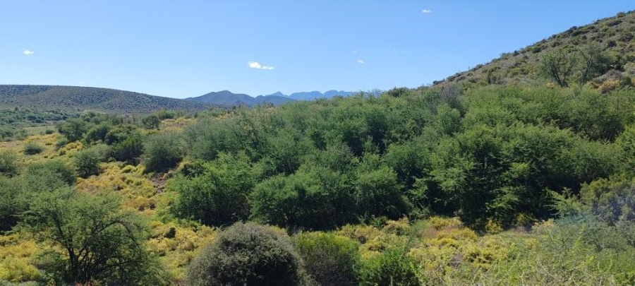 0 Bedroom Property for Sale in Oudtshoorn Rural Western Cape